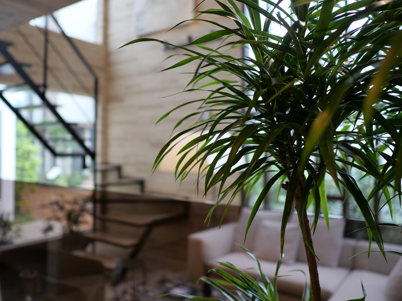 HOUSE@SETAGAYA6